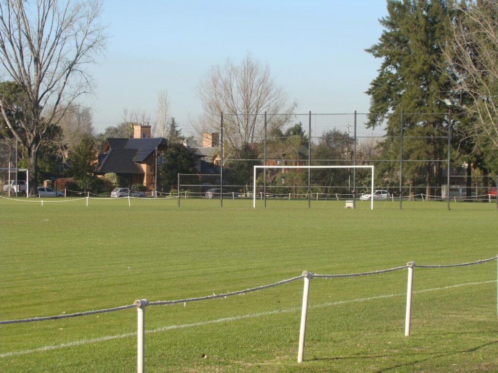 futbol65